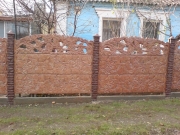 Забор "Бут виноград" листопад 2