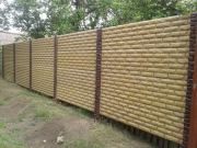 Фагот "янтарь" глухой